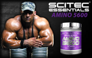 Amino 5600 .jpg