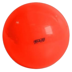 Gymnic Plus kamuolys 55 raudonas